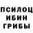 Псилоцибиновые грибы Psilocybine cubensis crasy kuzy