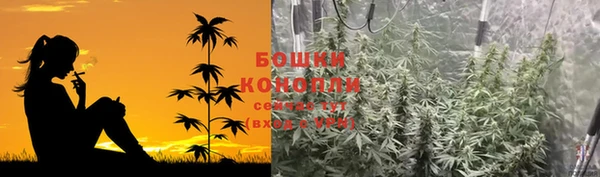 молекула духа Сосновоборск