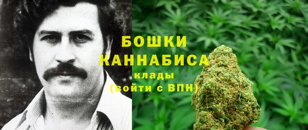 трава Беломорск