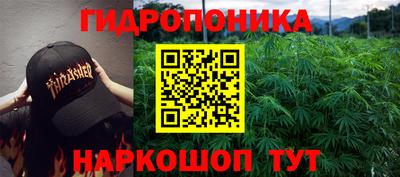 не бодяженный Лесосибирск