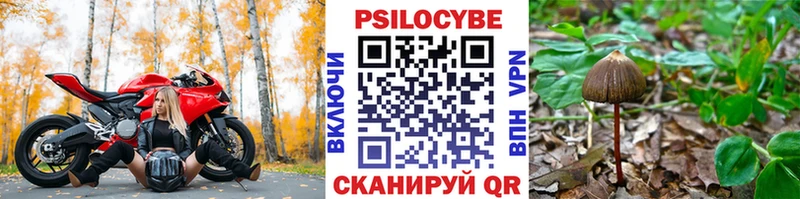 Псилоцибиновые грибы ЛСД Бузулук