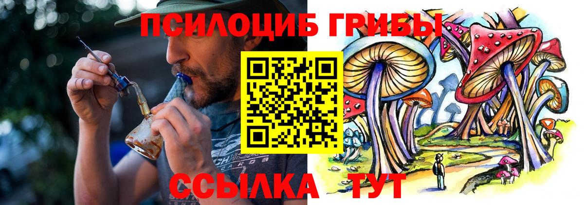Бузулук  Галлюциногенные грибы GOLDEN TEACHER  Вход с VPN 